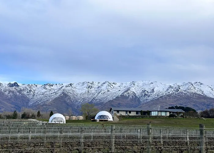 Glamping Dome - Pinot