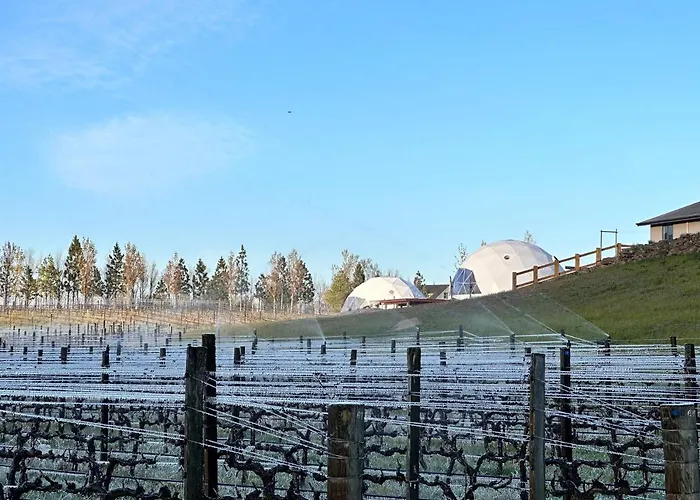 Glamping Dome - Pinot