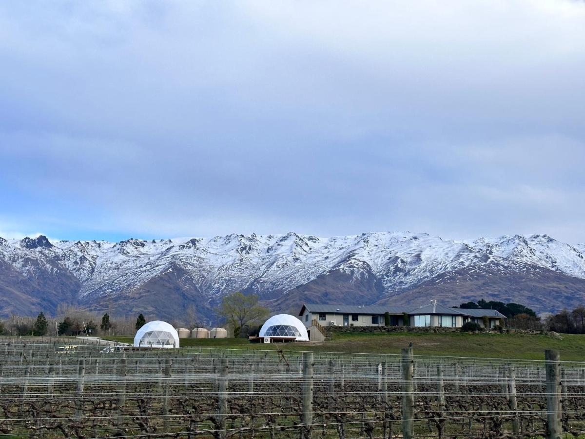 Glamping Dome - Pinot Cromwell