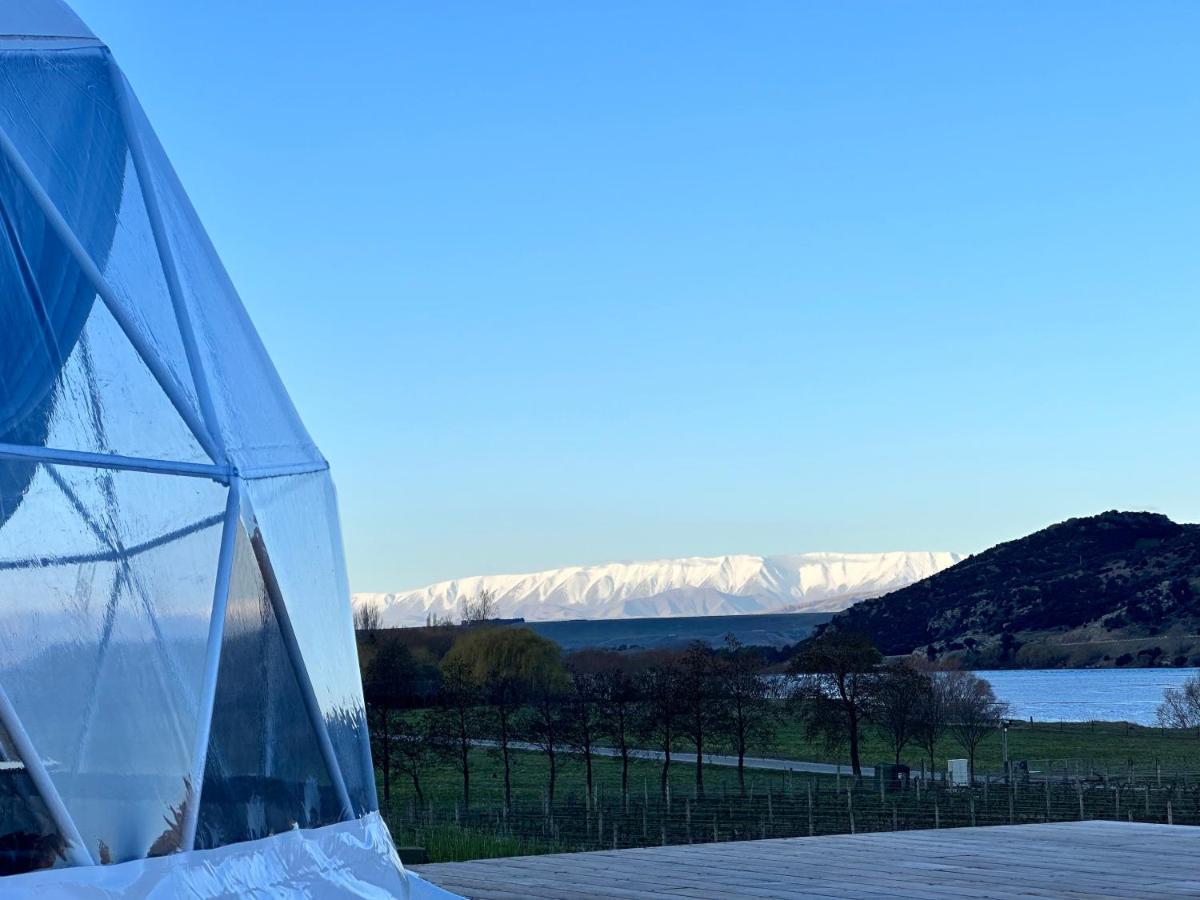 Glamping Dome - Pinot Cromwell