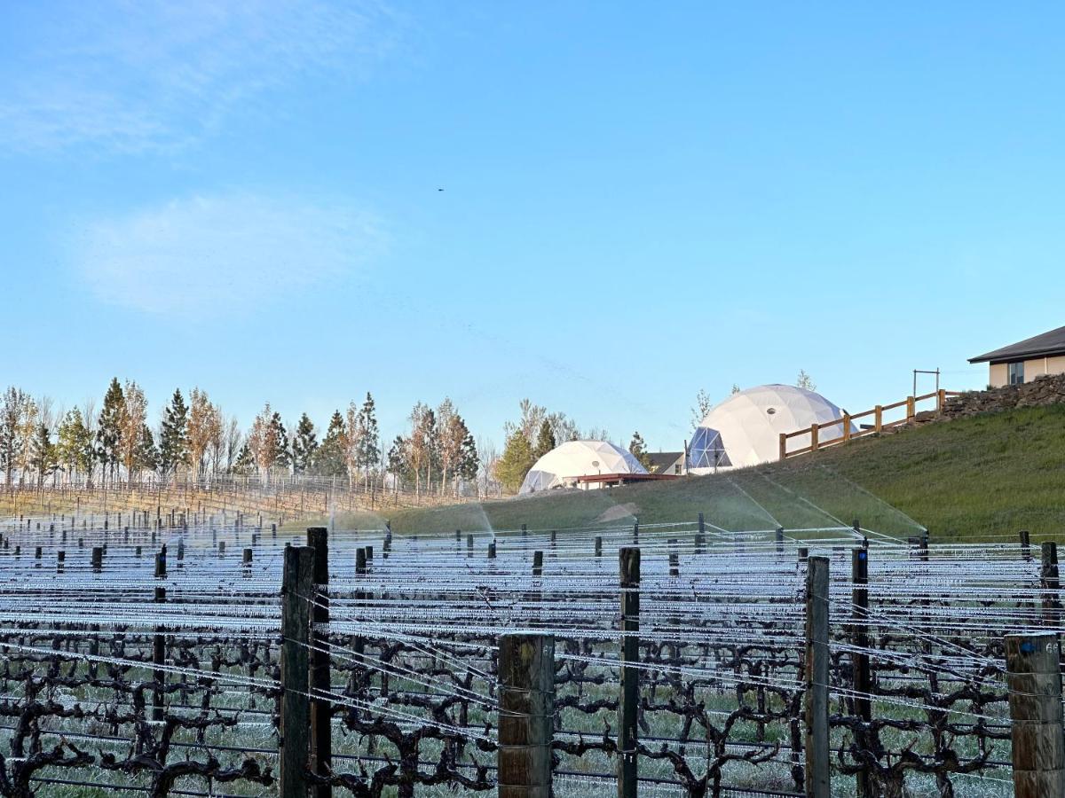 Glamping Dome - Pinot Luxury tent Cromwell
