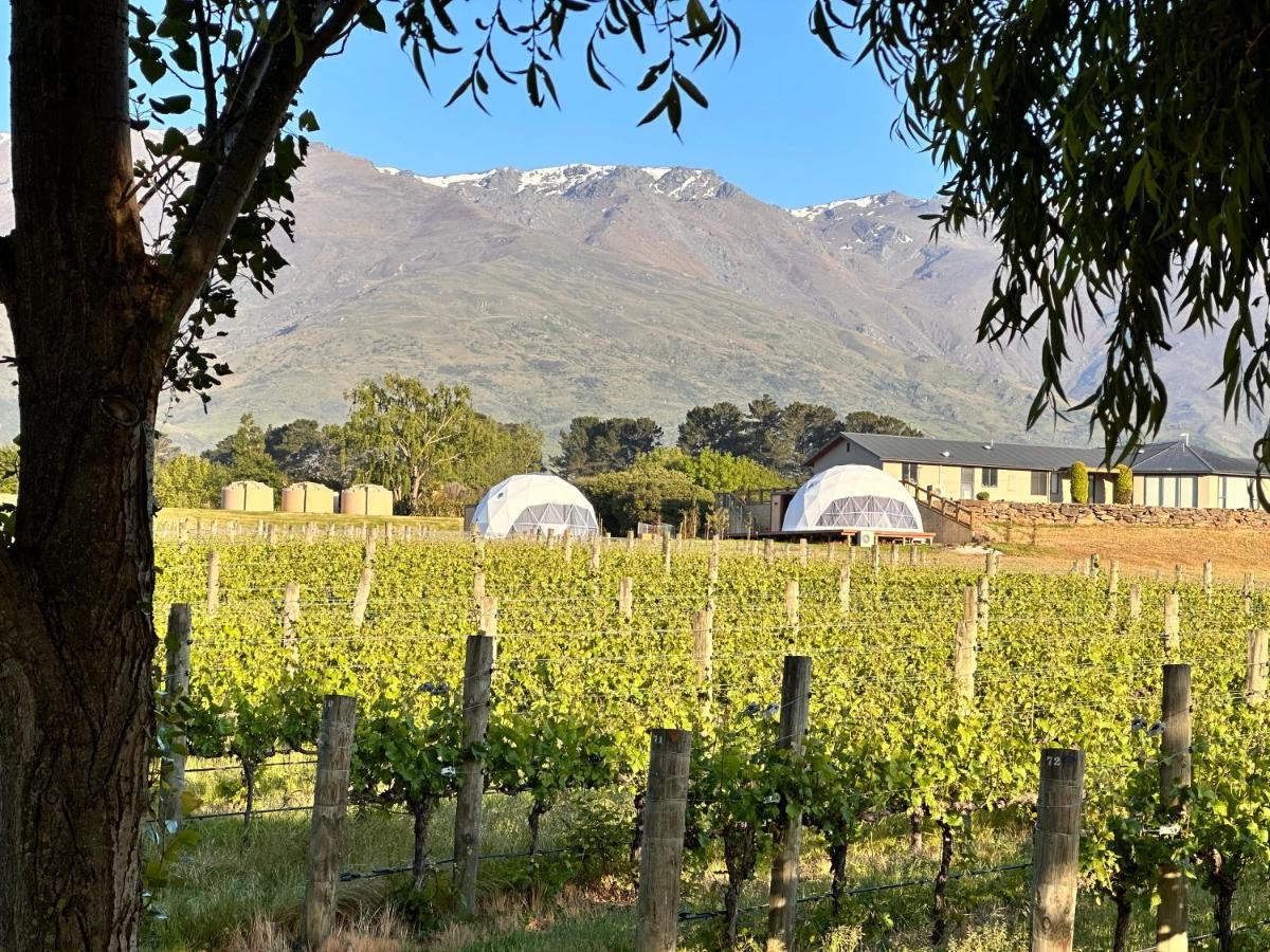 Glamping Dome - Pinot Cromwell